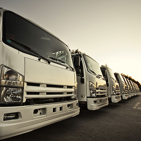 Chiller Truck Services in UAE